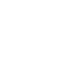 Meltho 5th Anniversary Logo